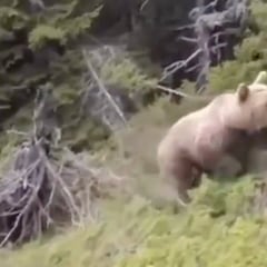 Salen a la luz las imágenes previas a la muerte de Christos Stavrianidis