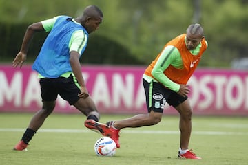 Nacional trabaja para asegurar la clasificación en Liga Águila