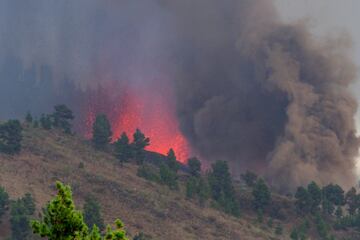 La erupción volcánica ayer (domingo 19 de septiembre) en los alrededores de Las Manchas, en El Paso (La Palma), después de que el complejo de la Cumbre Vieja acumulara miles de terremotos en la última semana, conforme el magma iba presionando el subsuelo en su ascenso. Las autoridades habían comenzado horas antes evacuar a las personas con problemas de movilidad en cuatro municipios.