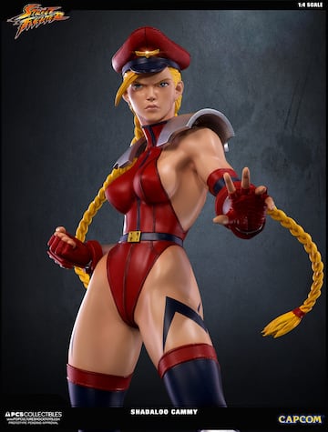 Fotografía - cammy_shadaloo_12.jpg