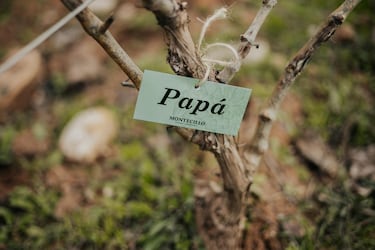 Caprichos y clásicos para celebrar el Día del Padre