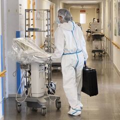 Muertes en España por coronavirus: los datos de la curva epidemiológica, hoy, 14 de mayo