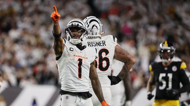 After nine games of the new season, the Bengals are 3-6 and occupy third place in the AFC North, two wins away from the first place Steelers