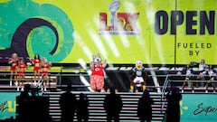 Surprising facts about the Chiefs' mascot and why experts say it's a controversial figure in sport