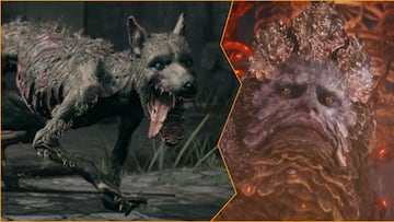 La batalla definitiva: 50 perros contra todos los jefes de Elden Ring, ¿quién gana?