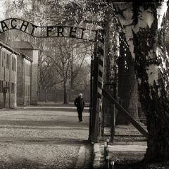 Encuentran un posible campo de entierro masivo en Auschwitz