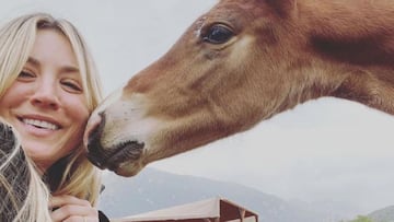 La actriz Kaley Cuoco se ofrece a comprar un caballo maltratado en los Juegos Olímpicos