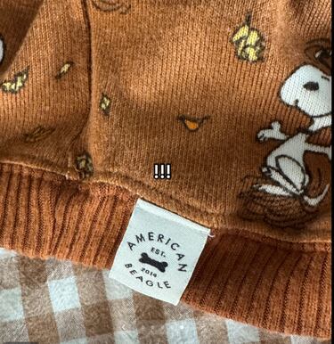 Una mujer compra un jersey de rebajas y no puede creer lo que ve cuando se lo prueba en casa: “Eso terminó de convencerme”