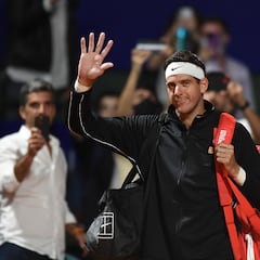 Del Potro quiere volver