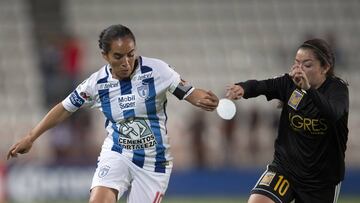 Cómo y dónde ver el Tigres vs Pachuca; horario y TV online