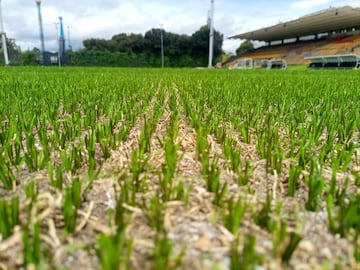 Gramilla del nuevo estadio El Campín será híbrida.