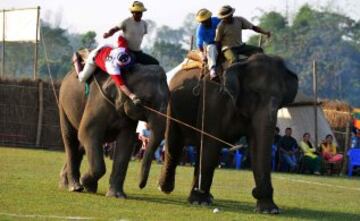 Partido de polo sobre elefantes entre los Irelephants (rojo) y los Himalyan Tiger Foundation (azul) en la 35ª edición del Campeonato Internacional.