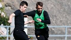 JANUZAJ Y ZUBELDIA EN EL ENTRENAMIENTO DE LA REAL SOCIEDAD