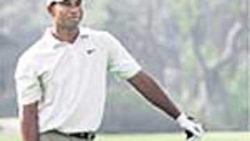 Tiger Woods, regular.