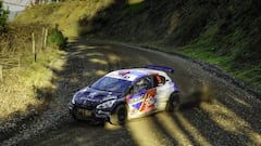 Así se arma la categoría que traerá de vuelta a los tracción integral