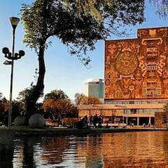 Beca UNAM Humanidades: requisitos, monto y quiénes pueden solicitarla