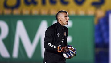 Nahuel Guzmán: Vamos a representar solamente a Tigres