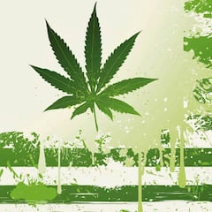 California legaliza el uso recreativo de la marihuana