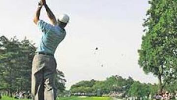 <b>EL TIGRE SALE DE CAZA. </b>Tiger regresa tras tres meses sin competir y uno sin tocar los palos, demasiado tiempo para optar al triunfo en un complicado campo.