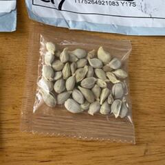 El misterioso envío de semillas desde China a Estados Unidos