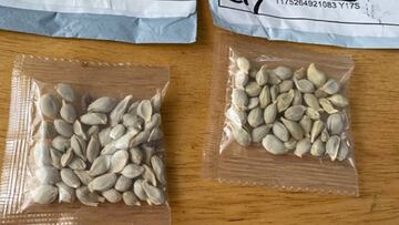 El misterioso envío de semillas desde China a Estados Unidos