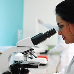 Becas CONACYT: cómo registrarme y requisitos