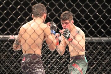 En las preliminares de la UFC Fight Night Chile, Pantoja se llevó la victoria dejando a un maltrecho Moreno. El mexicano se fue con la nariz y labios rotos.