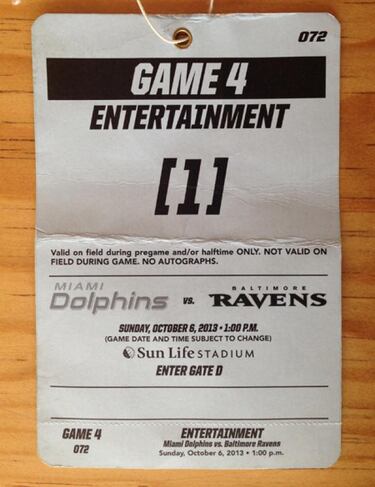 TRIBUNA LIBRE: Un juego de la NFL, visto desde adentro. Desde muy adentro.