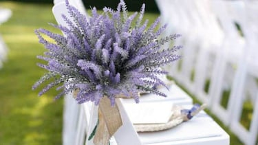 Adis a los mosquitos: la mejor solucin en primavera que adems perfuma y adorna la terraza