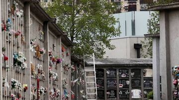 Curva de muertos en España: ligero ascenso con 378 en 24 horas