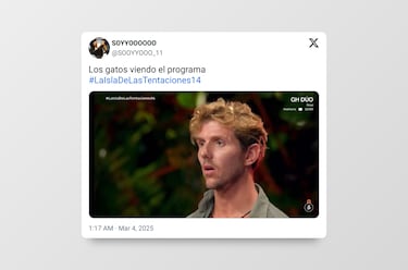 Los mejores memes de ‘La isla de las tentaciones’