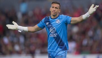 Nicolás Vikonis, Puebla