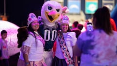 NFL mascots enjoy home game appearances, team events, and the company of star players while earning substantial pay during the active season. But how much is that?