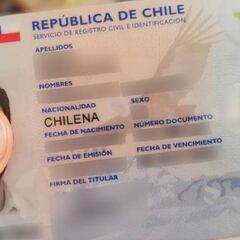 Plebiscito Nacional 2020: ¿puedo votar con el carnet vencido?