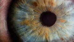 Estos son los megapíxeles que tendría el ojo humano si fuese una cámara fotográfica