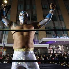 El IOCW Championship sube de nivel: Cinta de Oro lo expondrá ante otros tres campeones