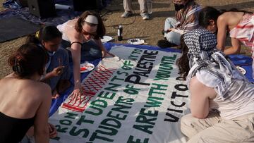 Pro-Palestinian protesters demand universities divest from Israel-Hamas conflict