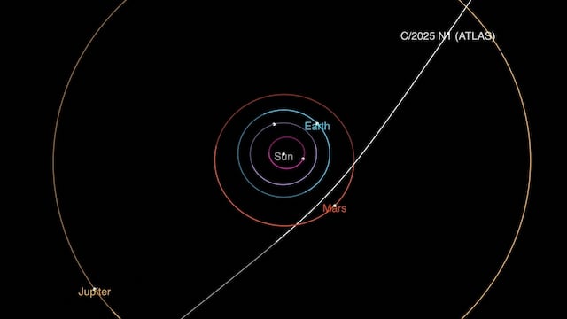 While we’re not worried about fighting its own threat to us, it can prove to be very useful for others.