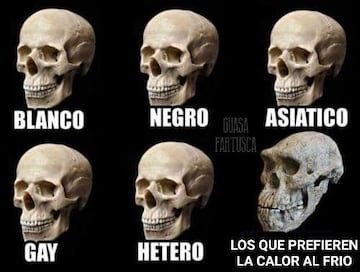 Los mejores memes para sobrellevar las altas temperaturas 