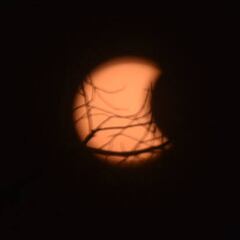 ¿En qué países se podrá ver el eclipse lunar de noviembre y en qué lugares no será visible?