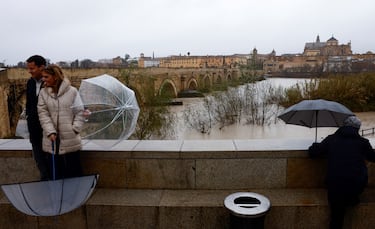 La gente sostiene paraguas mientras observa cómo el río Guadalquivir se desborda al pasar bajo el Puente Romano de Córdoba.