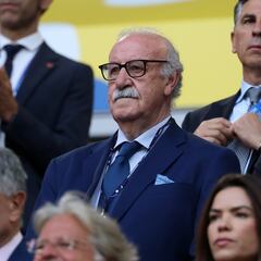 Del Bosque: “Tenemos dos inmigrantes que nos han hecho mejores, aunque a algunos no les guste”