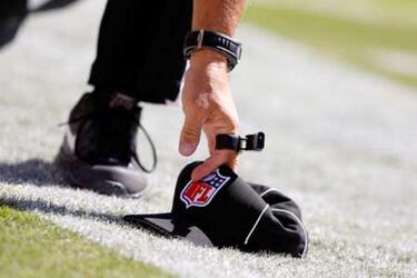 Se abre la veda de la cebra