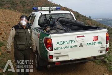 Cuando los agentes se la iban a llevar, apareció el propietario.