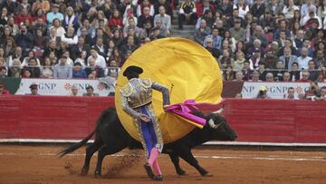 CDMX: Comisiones aprueban iniciativa para prohibir las corridas de toros