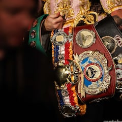 What belts will be on the line for the Canelo Alvarez vs Terence Crawford fight?
