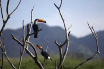 Portobello Resort, el paraíso de Italia