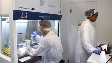 Detectan en China otro virus con riesgo de 'potencial pandemia'