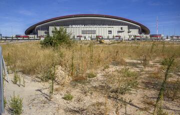 Así están las obras de jardinería del Wanda Metropolitano