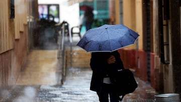 Una persona se protege de la lluvia en Málaga. A 13 de marzo de 2025, en Málaga (Andalucía, España). Andalucía acumula un total de 1.404 incidencias desde el inicio del tren de borrascas que afecta a la comunidad desde primeros de marzo tras sumar otras 80 durante las últimas horas, según informa el Centro de Coordinación de Emergencias 112, perteneciente a la Agencia de Emergencias de Andalucía.
13 MARZO 2025
Álex Zea / Europa Press
13/03/2025